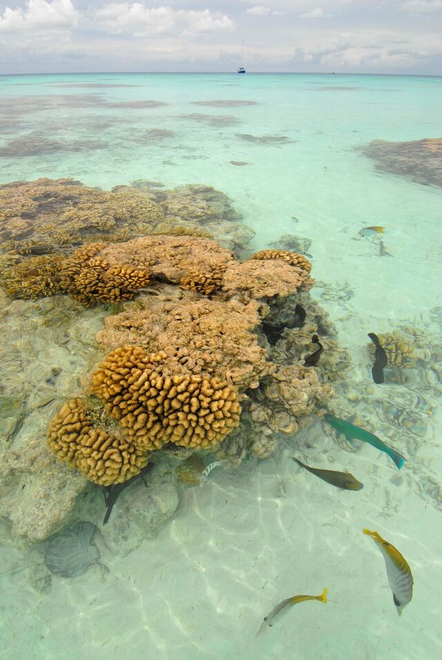 Fakarava foi declarada pela Unesco como Reserva da Biosfera, onde a natureza é respeitada e preservada.