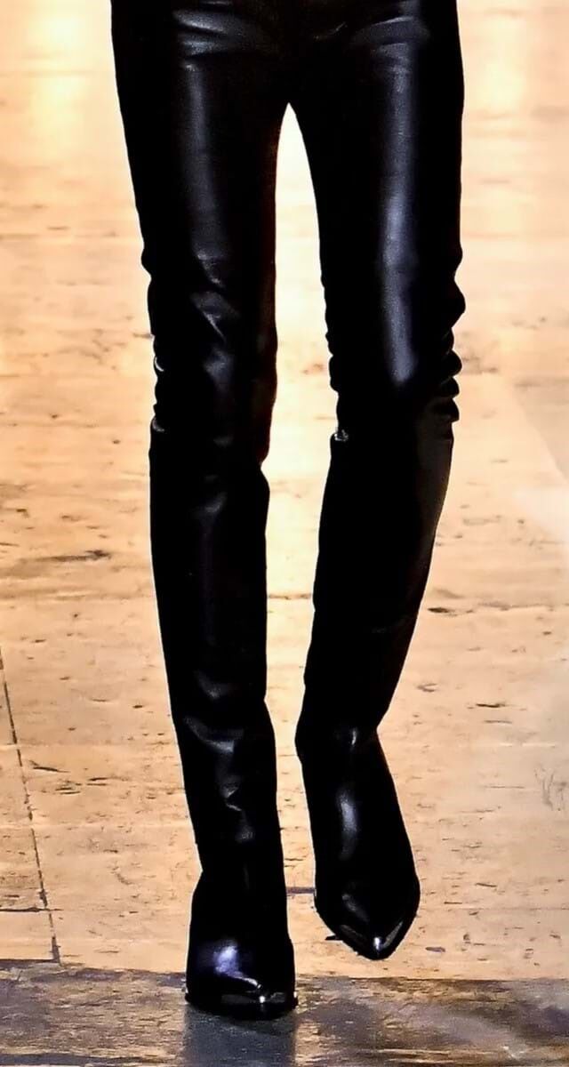 Botas: Botas Cowboy Celine.