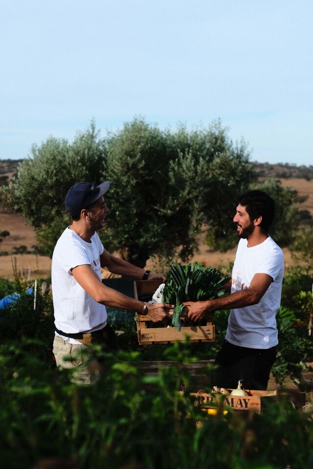 As hortícolas e aromáticas crescem naturalmente sem sementes geneticamente manipuladas e sem químicos.