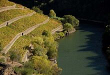 48 horas no Douro, entre paisagens de cortar a respiração