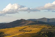 Apreciador de vinhos? Há uma prova especial no Douro, em Murça
