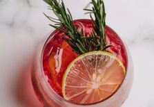 Celebrar com gin no Jardim Botânico da Ajuda