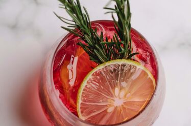 Celebrar com gin no Jardim Botânico da Ajuda