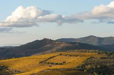 Apreciador de vinhos? Há uma prova especial no Douro, em Murça