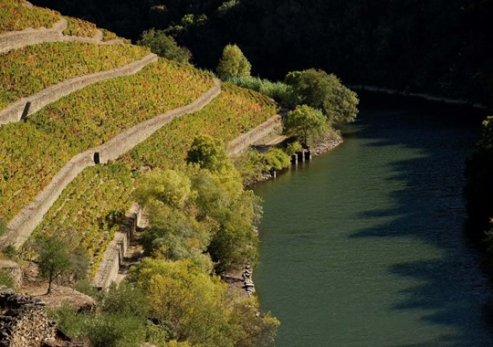 48 horas no Douro, entre paisagens de cortar a respiração