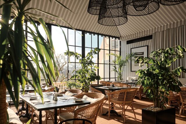 A grande estrela do restaurante, para lá da comida, é o acolhedor jardim de inverno onde está inserido.