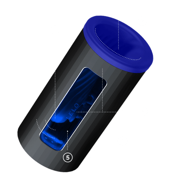 Lelo F1S V2.