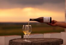 Provas de vinho e música ao vivo: um dia no Wine Market Torre de Palma 