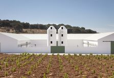 Aldeia de Cima e a ciência que exige o seu distinto medronho