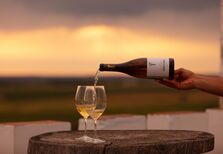 Provas de vinho e música ao vivo: um dia no Wine Market Torre de Palma