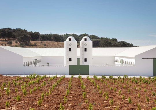 Aldeia de Cima e a ciência que exige o seu distinto medronho