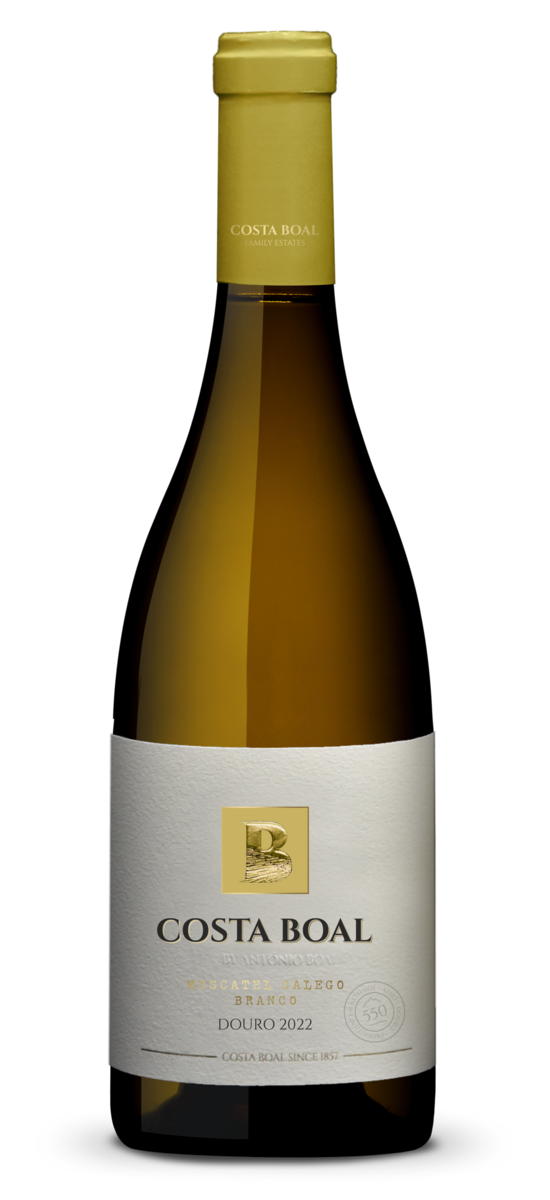 Costa Boal Moscatel Galego Branco 2022.