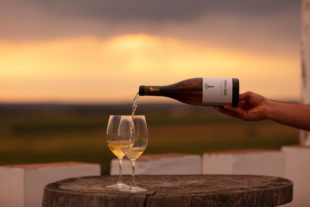 2023-06-13_23_12_16 TorreDePalma04ABR2023_ByMACREATIVE_162.jpg