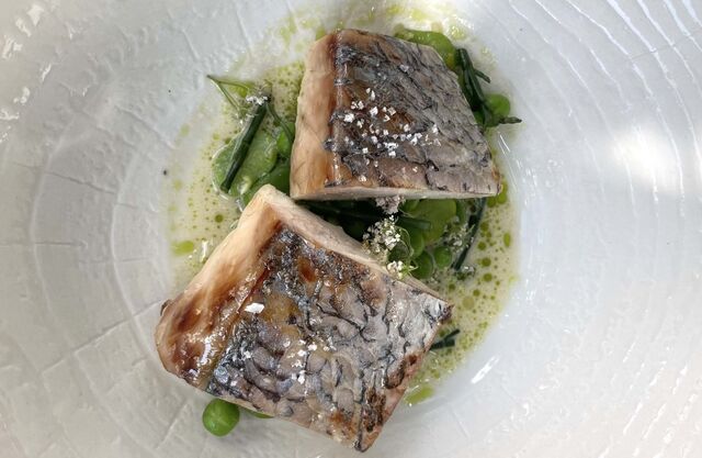 Corvina com ervilhas e favas.