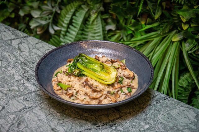 O Risotto é um dos pratos principais.