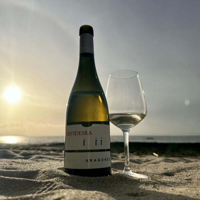A Ervideira é uma adega portuguesa que produz os seus vinhos desde 1880. Atualmente, é gerida pela quarta e quinta geração de produtores da família Leal da Costa.