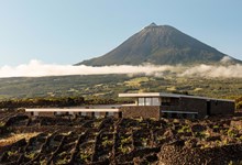 Azores Wine Company no top 100 das melhores adegas do mundo
