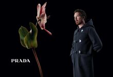De Benedict Cumberbatch a Jamie Dornan. Os protagonistas da próxima estação
