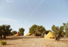 Quando o campismo de luxo se alia ao enoturismo e ao olivoturismo