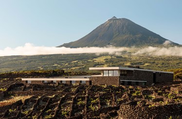 Azores Wine Company no top 100 das melhores adegas do mundo