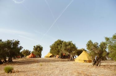 Quando o campismo de luxo se alia ao enoturismo e ao olivoturismo