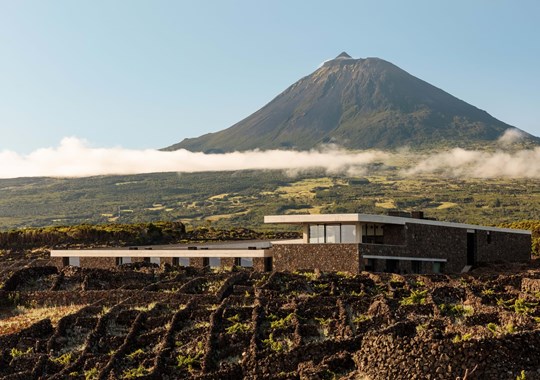 Azores Wine Company no top 100 das melhores adegas do mundo