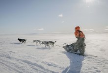 Fjällräven Polar, a famosa expedição ao Ártico está de regresso em 2024