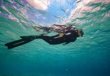 Entrevista: Carol Schrappe, recordista de mergulho em apneia