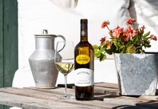 4 vinhos e as suas histórias: Dois tintos do Douro, um branco velho alentejano e um verde que aposta no terroir