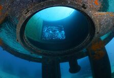 Uma exposição de arte que é um recife