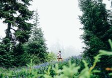 Portugueses no top 3 dos povos mais aventureiros