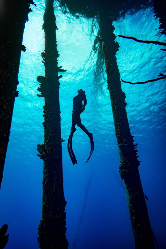 Estará em Portugal para o evento Diving Talks, um congresso internacional de mergulho.