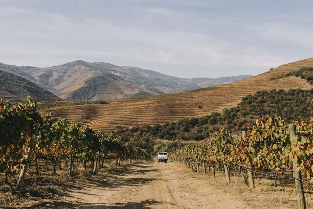 Passeio de carro pela Quinta de Ventozelo