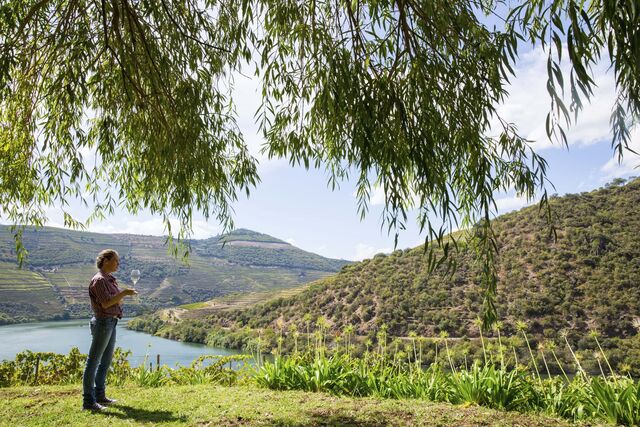 Quinta de Ventozelo, Douro