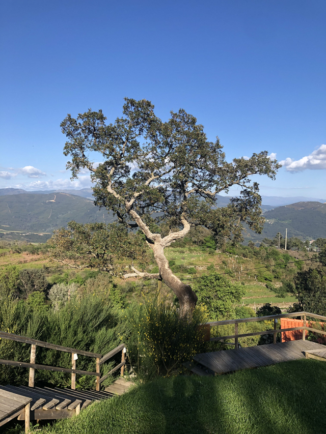 Trata-se de uma zona de natureza quase selvagem, com direito a vista pelos inúmeros miradouros e pelos trilhos que lá são feitos.