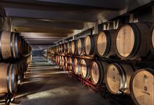 4 vinhos e as suas histórias. Dois tintos com a marca do Alentejo, um duriense tradicional e um branco d’Oiro