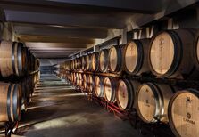 4 vinhos e as suas histórias. Dois tintos com a marca do Alentejo, um duriense tradicional e um branco d’Oiro