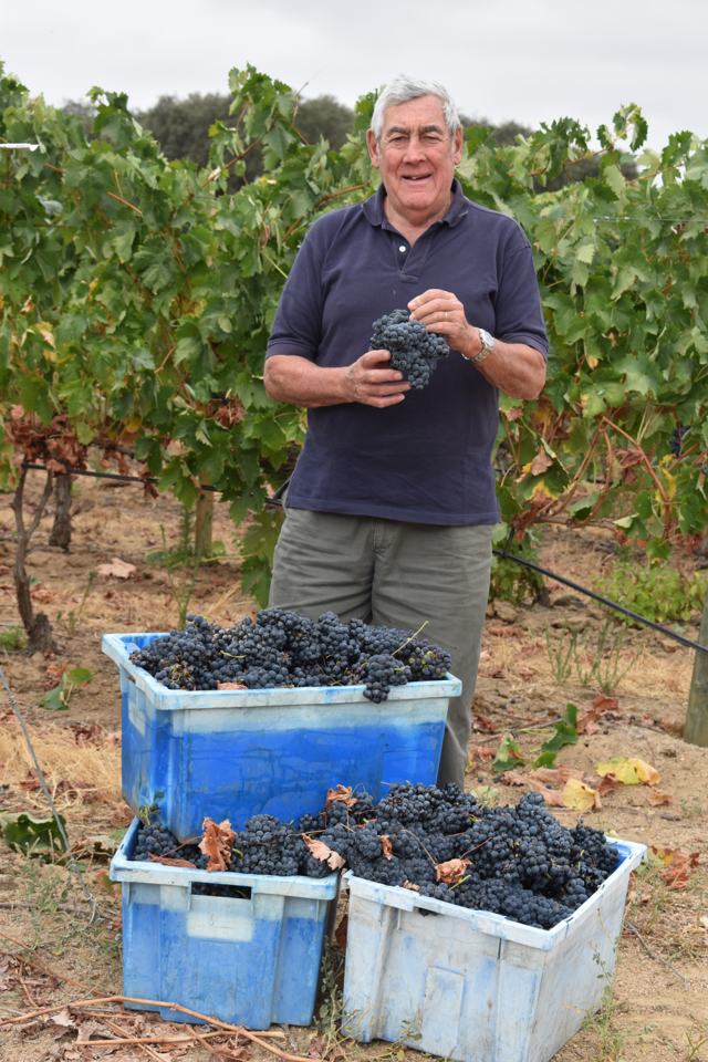 Thomaz Lima Mayer, produtor do vinho "Lima Mayer Tinto 2017".