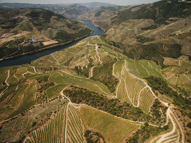 Este vinho nasceu de onze hectares da ‘macro’ parcela de Vinhas Velhas da Quinta da Costa de Cima, junto às margens do Douro.