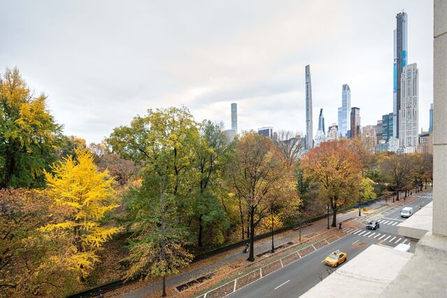 Vista do Central Park