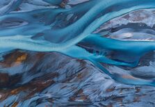 Rami Mogabgab revela maravilhas da natureza em exposição "Otherworldly"