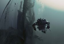 Os relógios mais amigos do ambiente