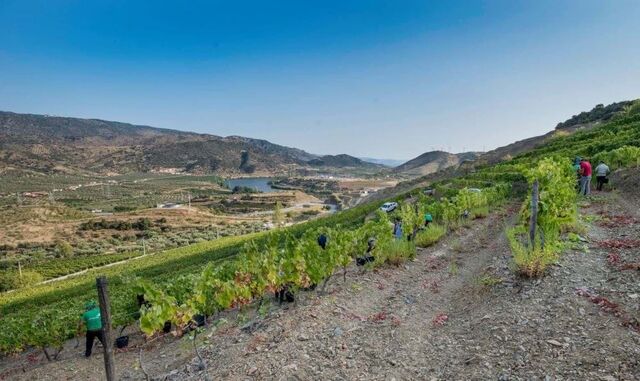 Quinta do Reguengo