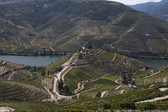 Quinta do Crasto no Douro
