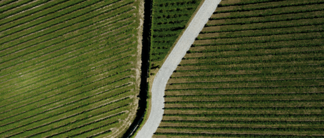 Quinta de Monforte