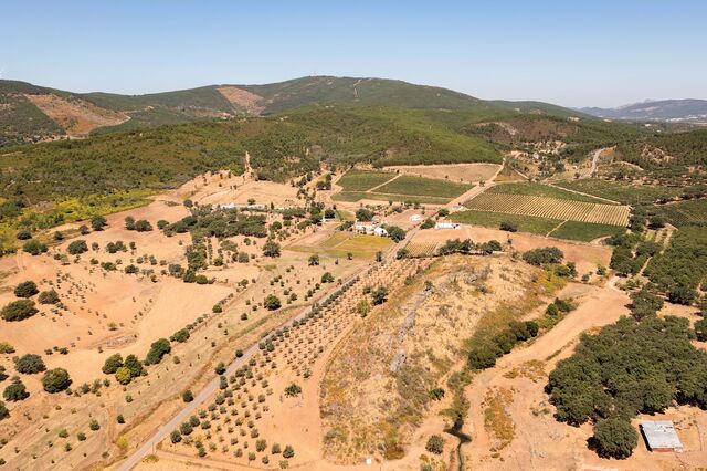 A herdade da Teixinha apresenta "características tão especiais e distintas como as condições climáticas da Serra de São Mamede"