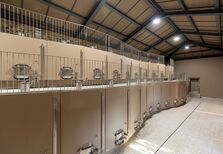 A nova adega “em socalcos” da Quinta Nova