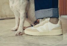 Veja. Como uns ténis minimalistas ergueram um império