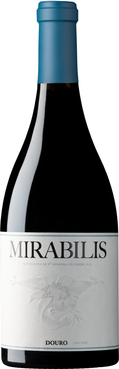 Mirabilis Tinto
