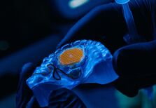 Novo dispositivo permite fazer scroll com a língua